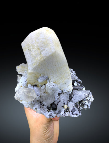 Amazing Schorl Black Tourmaline Cluster on Quartz and Microcline Feldspar Specimen - 2160 gram