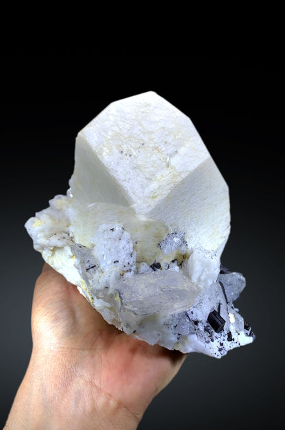 Amazing Schorl Black Tourmaline Cluster on Quartz and Microcline Feldspar Specimen - 2160 gram