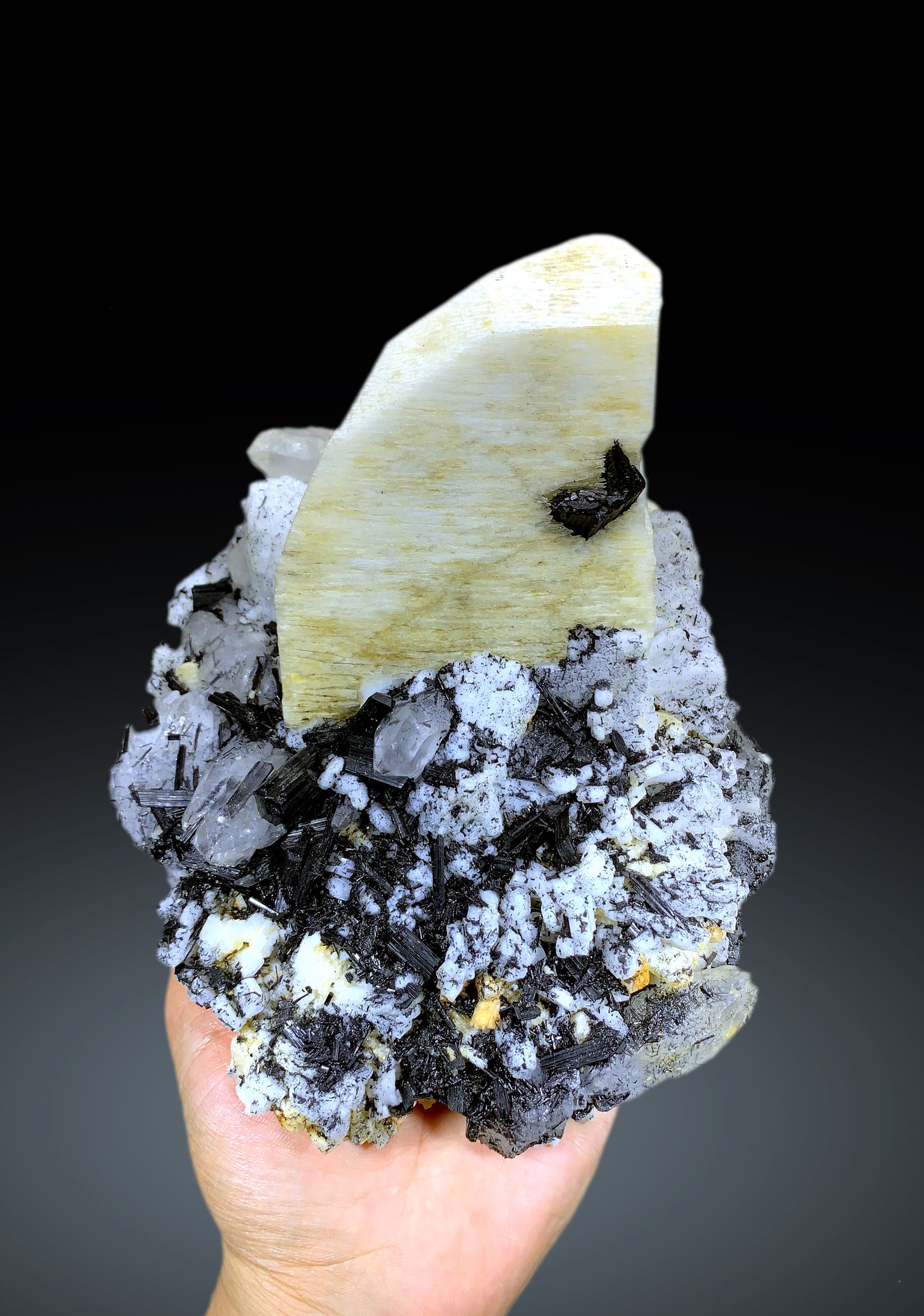 Amazing Schorl Black Tourmaline Cluster on Quartz and Microcline Feldspar Specimen - 2160 gram