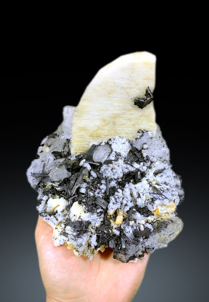 Amazing Schorl Black Tourmaline Cluster on Quartz and Microcline Feldspar Specimen - 2160 gram