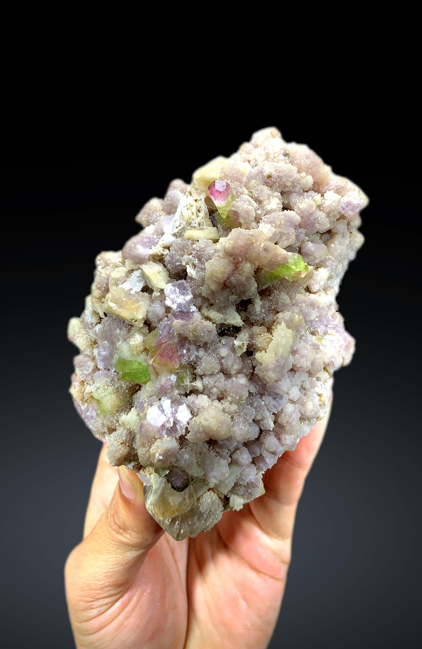 Watermelon Bicolor Tourmaline Crystals on Lepidolite from Paprok Afghanistan - 325 gram