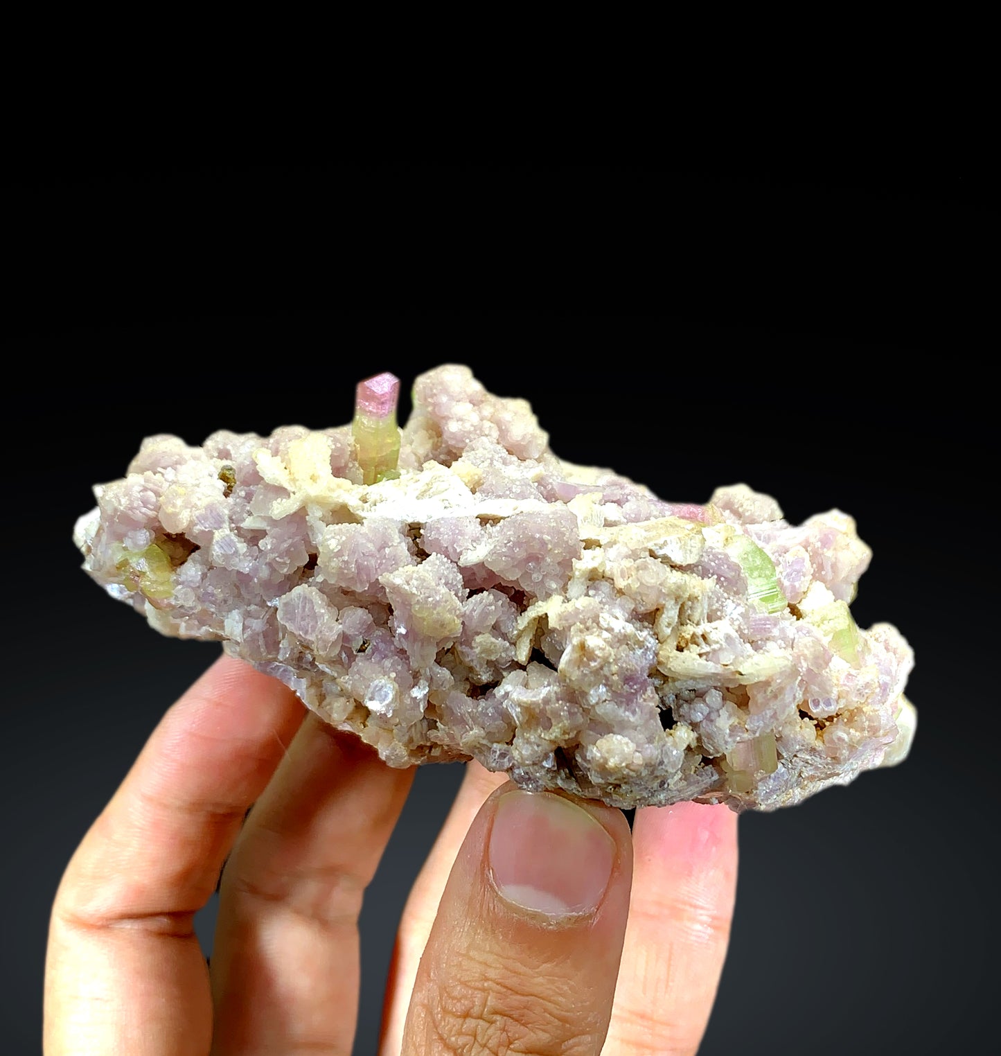 Watermelon Bicolor Tourmaline Crystals on Lepidolite from Paprok Afghanistan - 325 gram