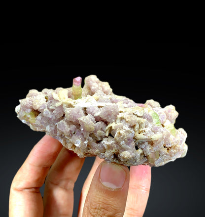 Watermelon Bicolor Tourmaline Crystals on Lepidolite from Paprok Afghanistan - 325 gram