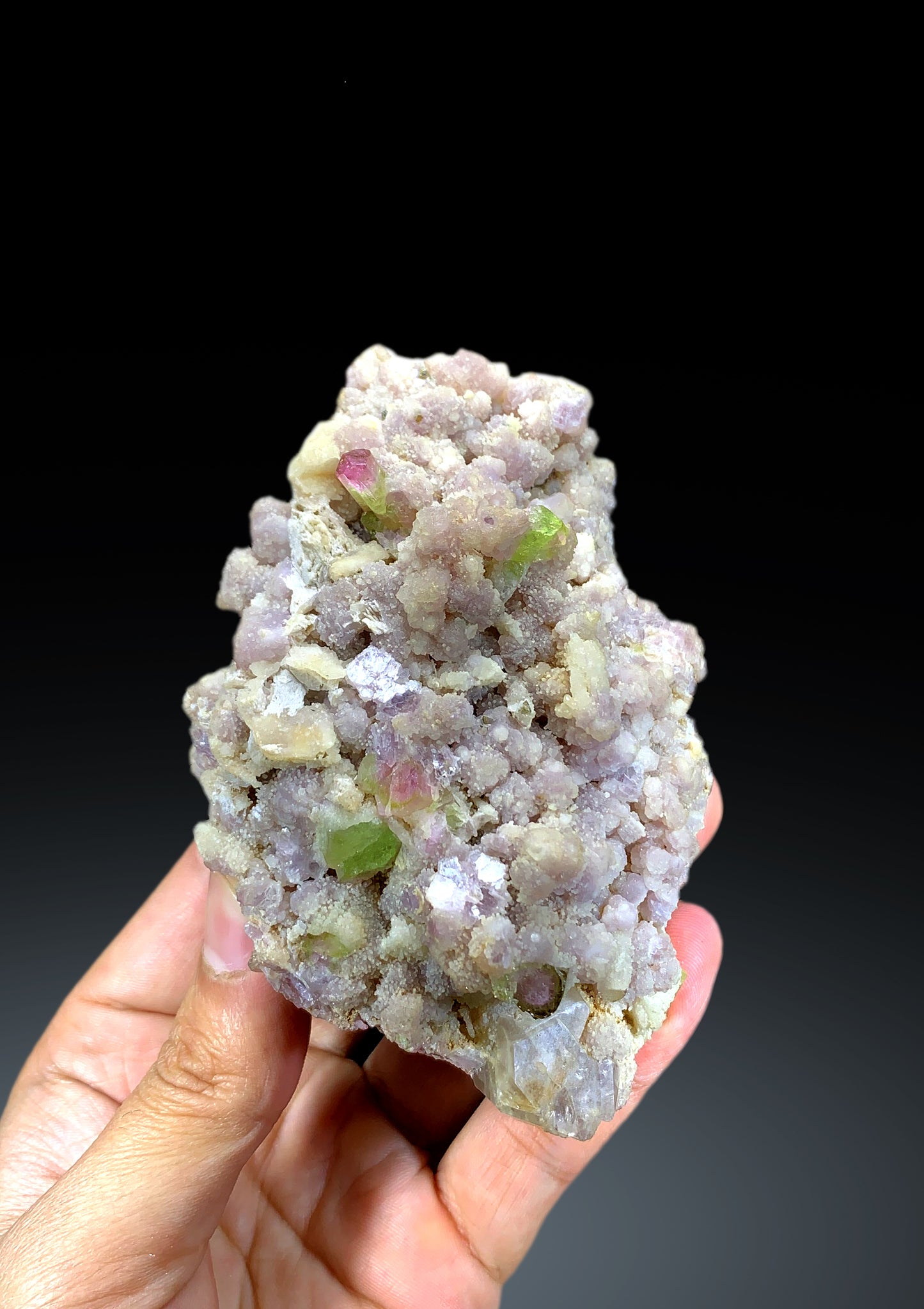 Watermelon Bicolor Tourmaline Crystals on Lepidolite from Paprok Afghanistan - 325 gram
