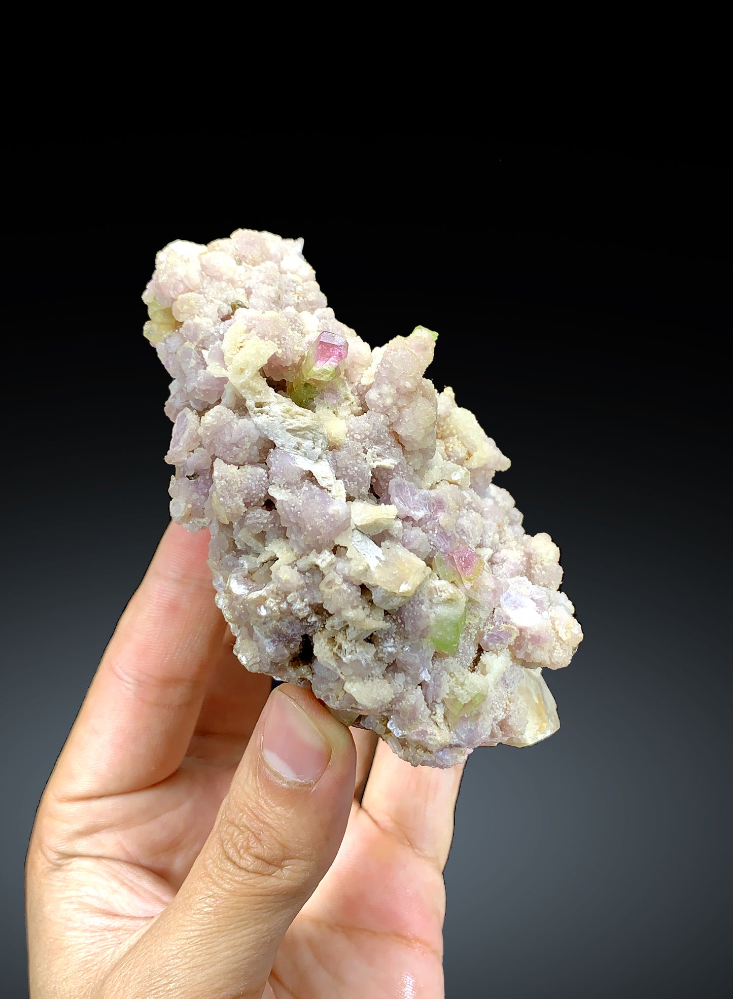 Watermelon Bicolor Tourmaline Crystals on Lepidolite from Paprok Afghanistan - 325 gram