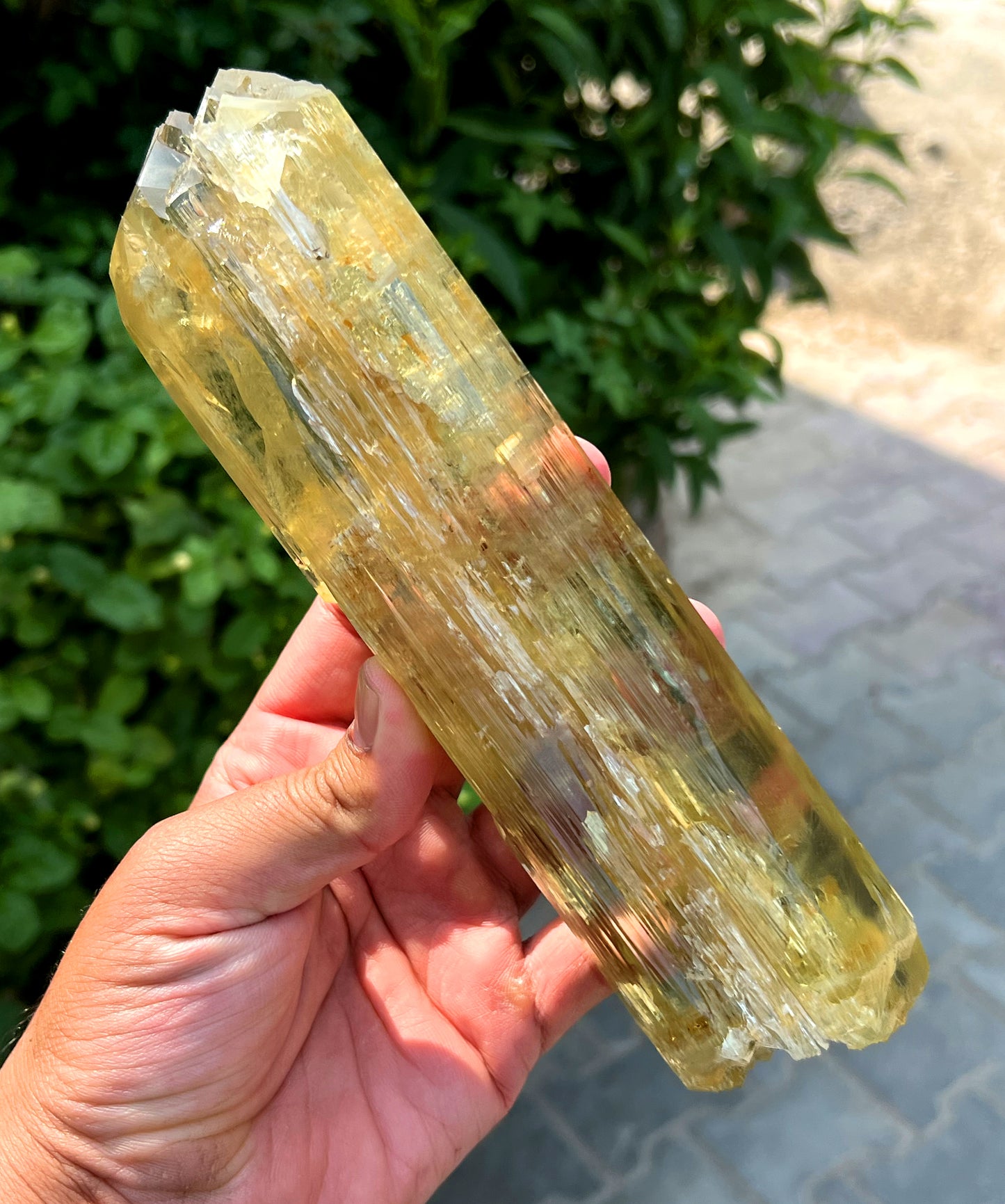 Exquisite Yellow Triphane Kunzite Crystal from Afghanistan - 826 gram