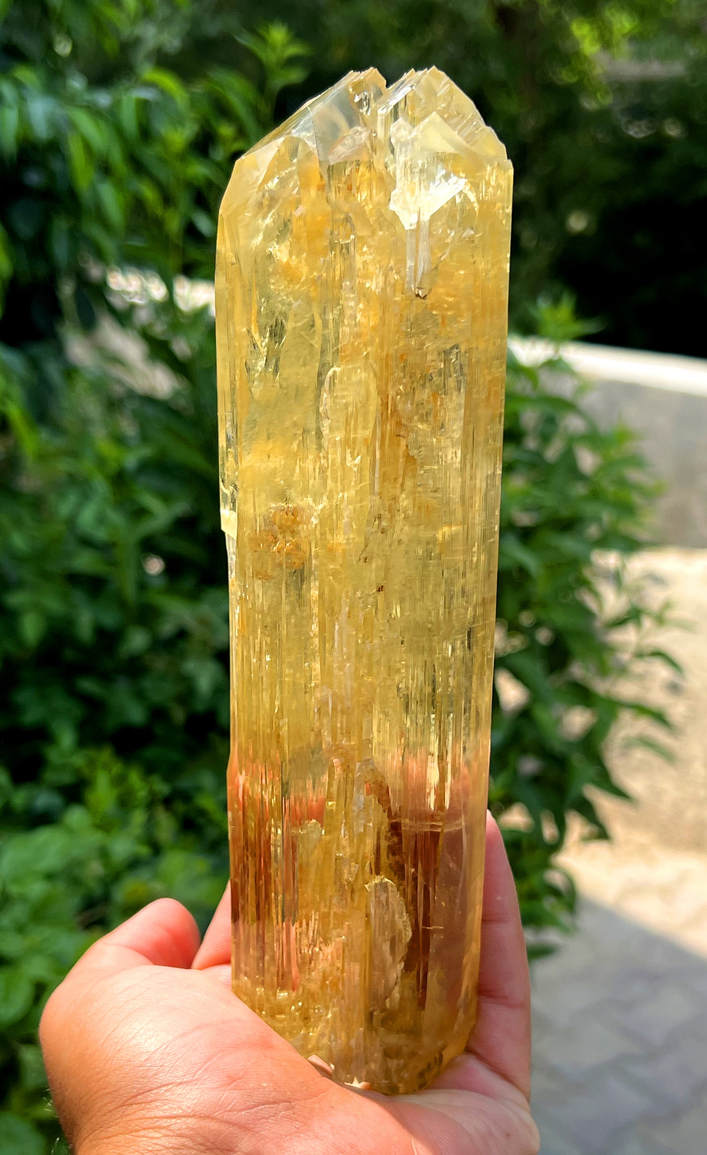 Exquisite Yellow Triphane Kunzite Crystal from Afghanistan - 826 gram