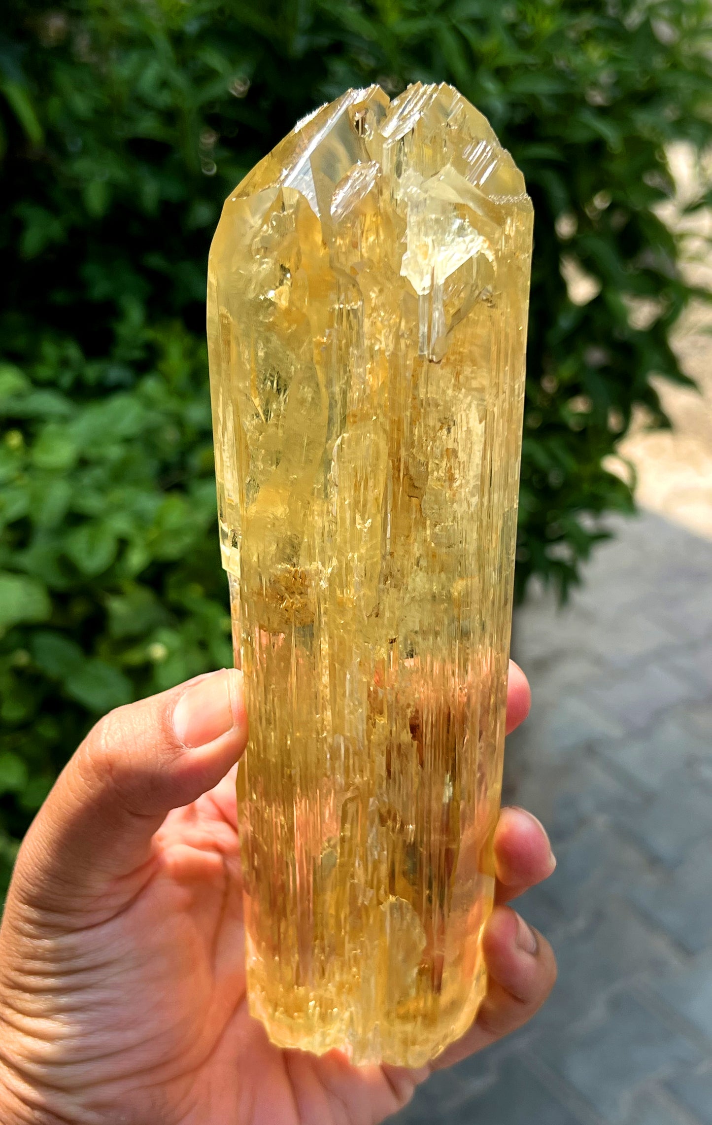 Exquisite Yellow Triphane Kunzite Crystal from Afghanistan - 826 gram