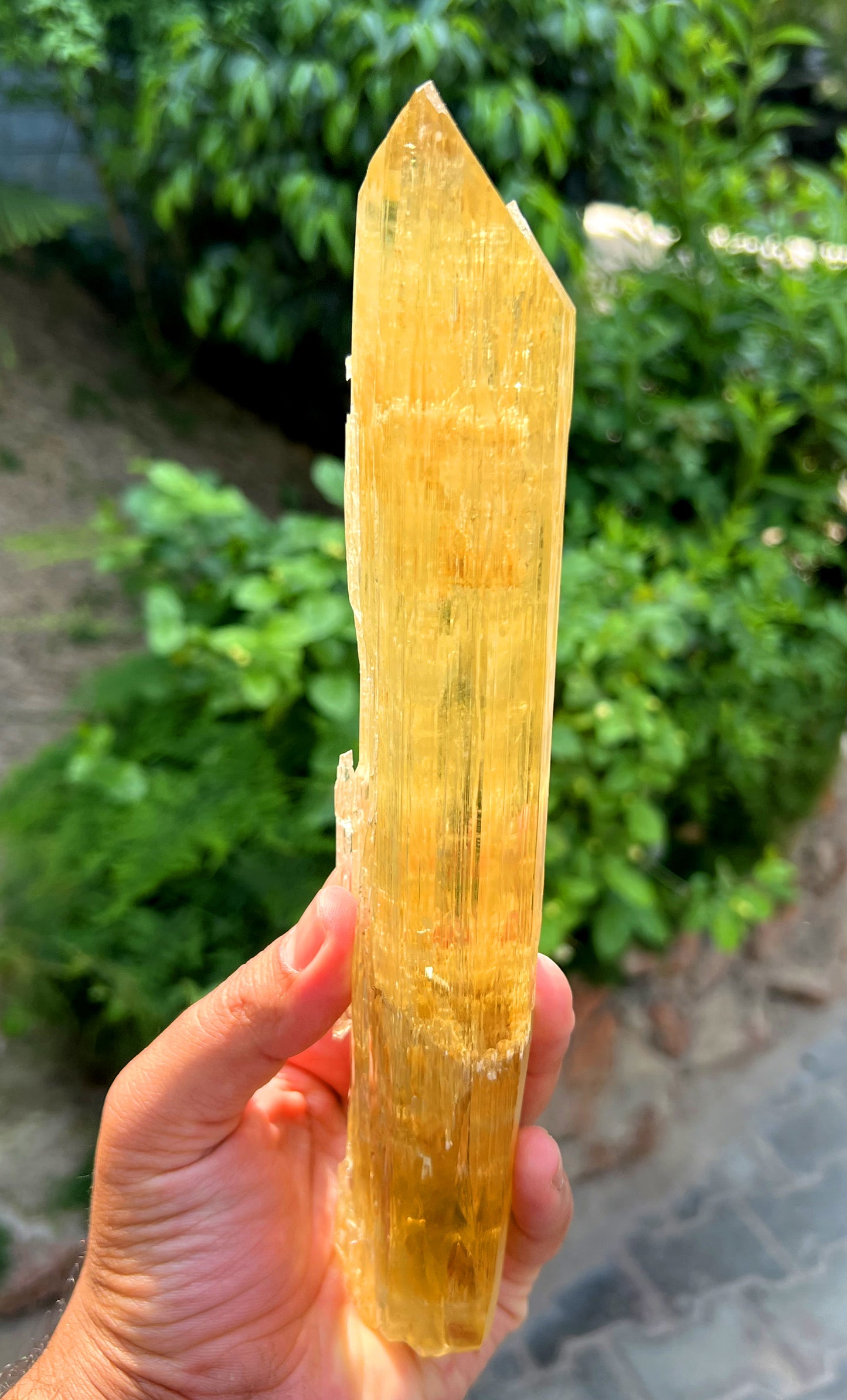 Exquisite Yellow Triphane Kunzite Crystal from Afghanistan - 833 gram