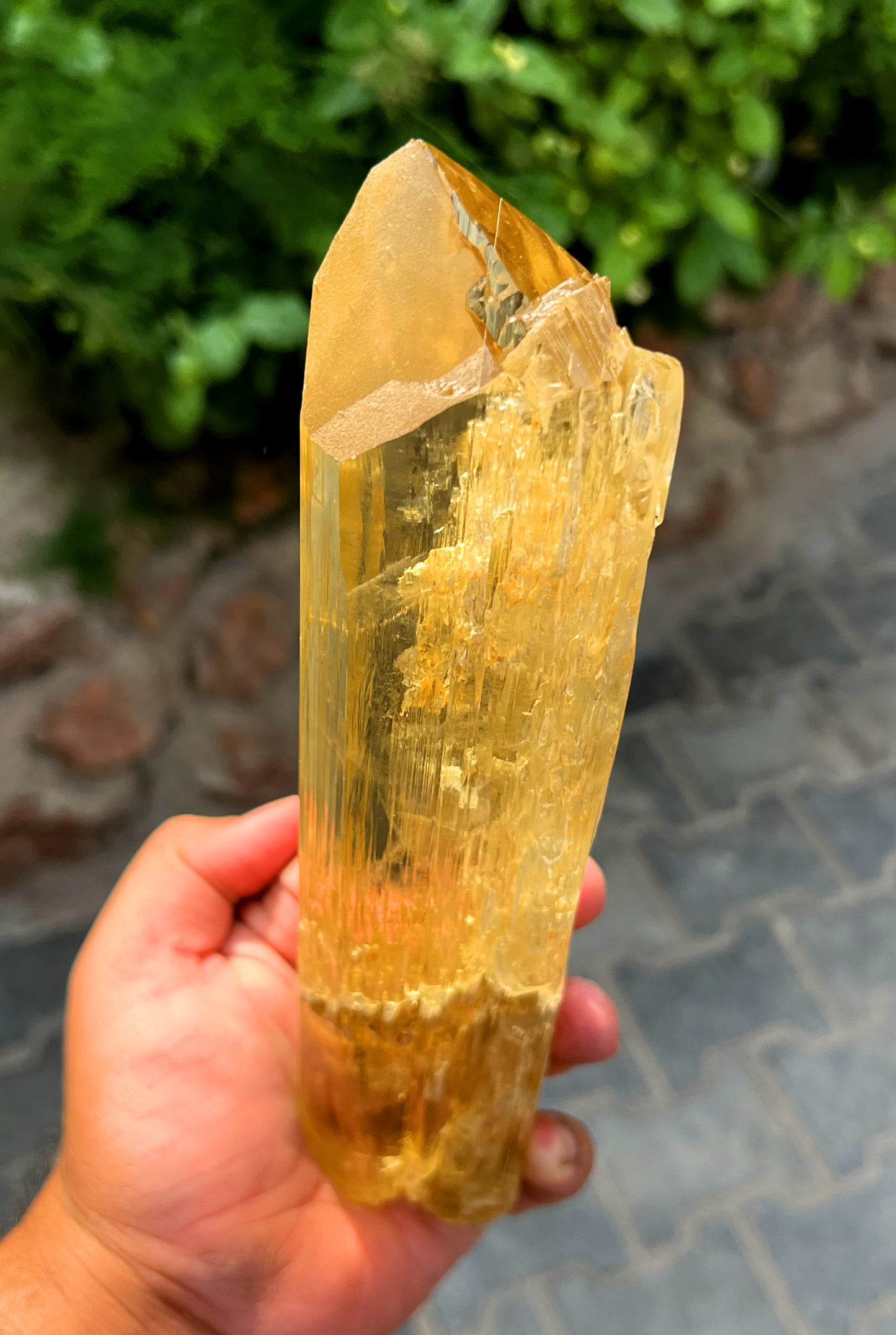 Exquisite Yellow Triphane Kunzite Crystal from Afghanistan - 833 gram