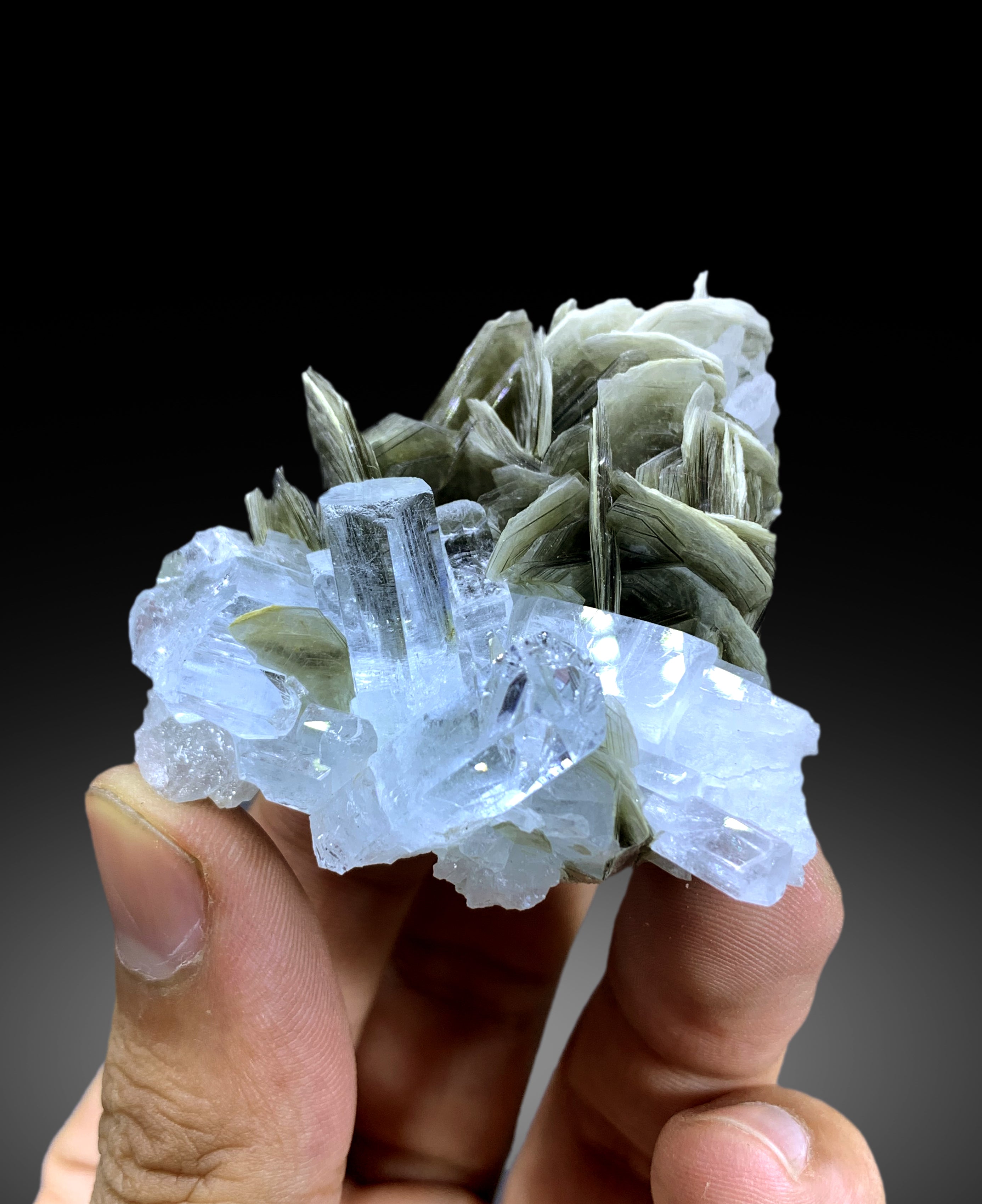 Sky Blue Aquamarine Cluster on Muscovite from Pakistan - 50 gram