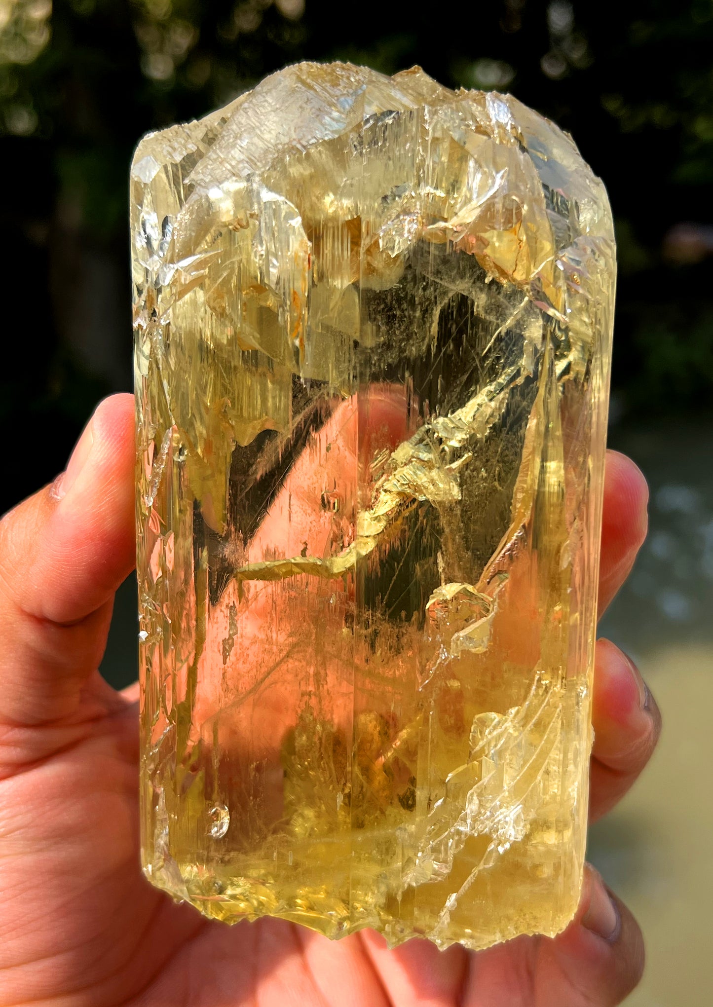 Gemmy Yellow Triphane Kunzite Crystal from Afghanistan - 804 gram