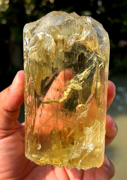 Gemmy Yellow Triphane Kunzite Crystal from Afghanistan - 804 gram