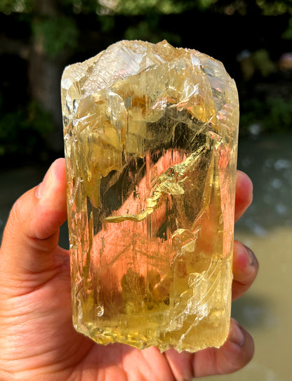 Gemmy Yellow Triphane Kunzite Crystal from Afghanistan - 804 gram