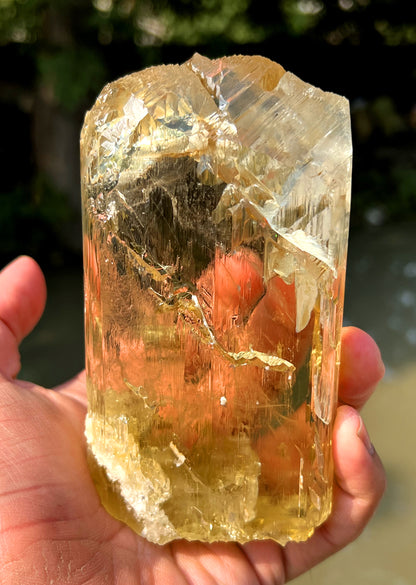 Gemmy Yellow Triphane Kunzite Crystal from Afghanistan - 804 gram