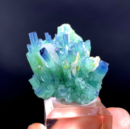 Indicolite Blue Tourmaline Cluster with Quartz from Afghanistan - 19 gram