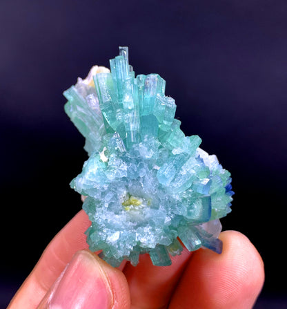 Indicolite Blue Tourmaline Cluster with Quartz from Afghanistan - 19 gram