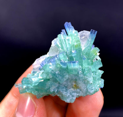 Indicolite Blue Tourmaline Cluster with Quartz from Afghanistan - 19 gram