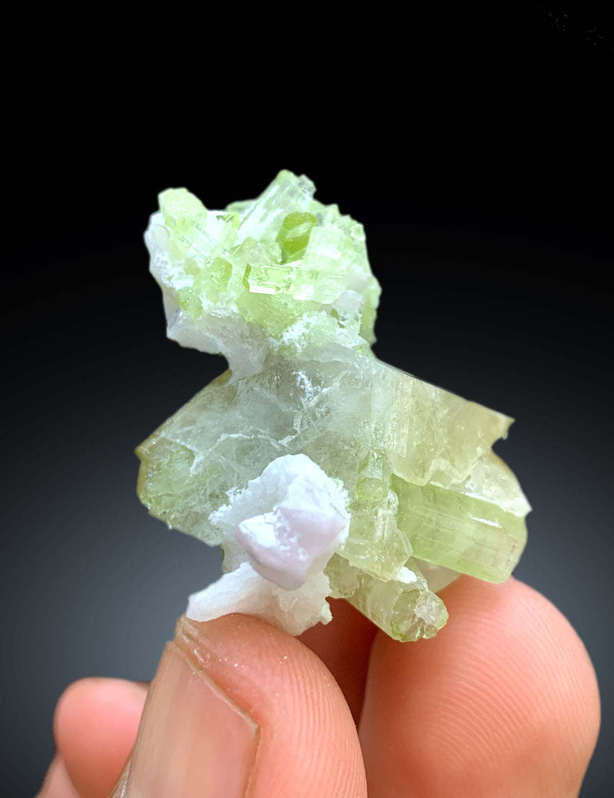 Rare Herderite with Green Tourmalines from Skardu Pakistan - 20 gram