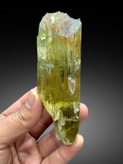 Lustrous Yellow Triphane Kunzite Crystal from Afghanistan - 281 gram