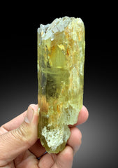 Lustrous Yellow Triphane Kunzite Crystal from Afghanistan - 281 gram