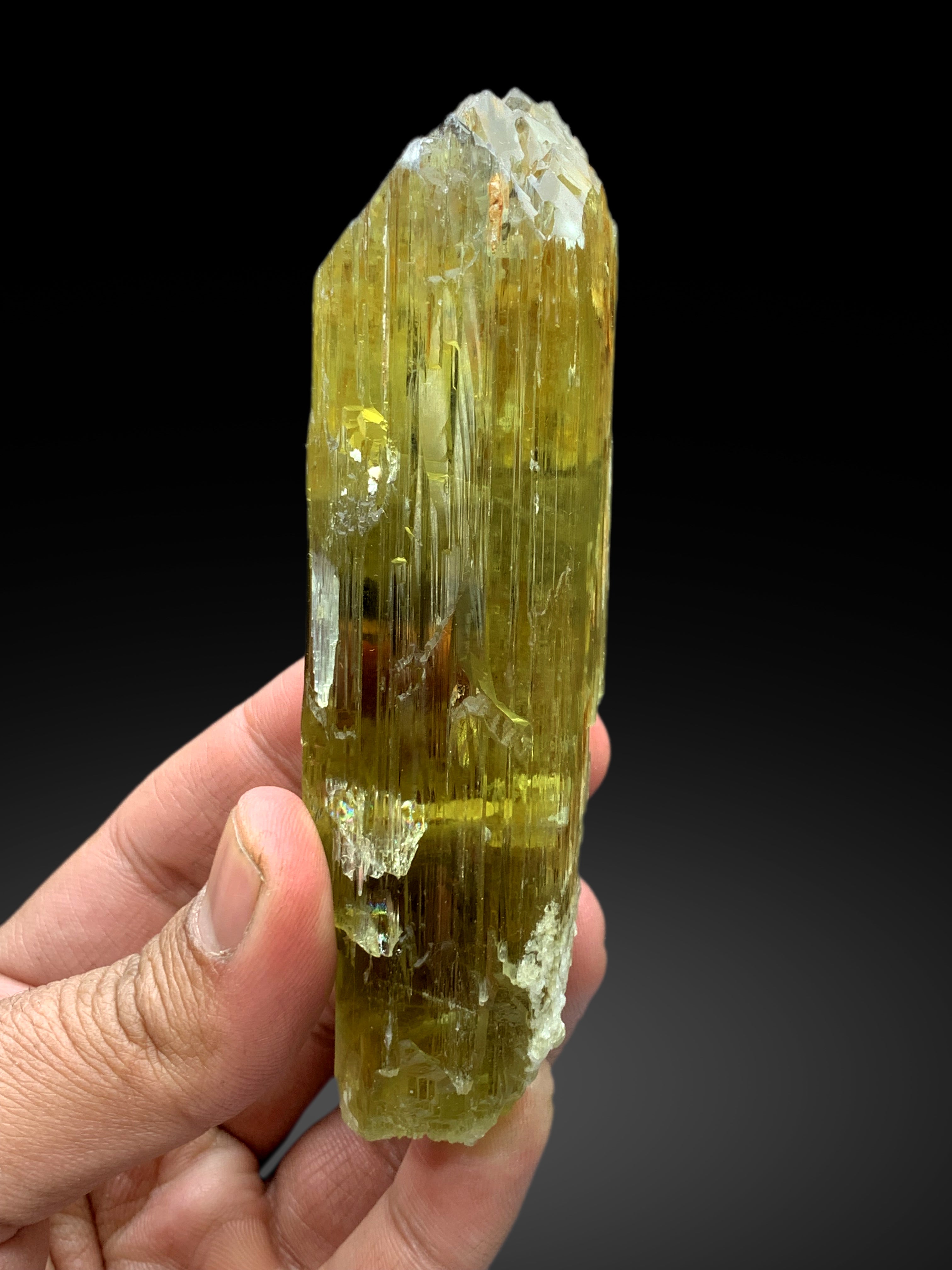 Lustrous Yellow Triphane Kunzite Crystal from Afghanistan - 281 gram