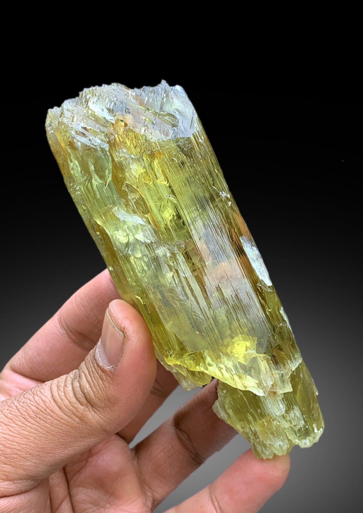 Lustrous Yellow Triphane Kunzite Crystal from Afghanistan - 281 gram