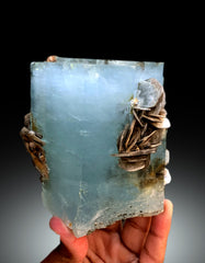 Aquamarine crystal with Muscovite Mica from Pakistan, 1433 gram