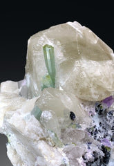Bicolor Tourmalines with Purple Apatite on Quartz from Afghanistan - 2533 grams