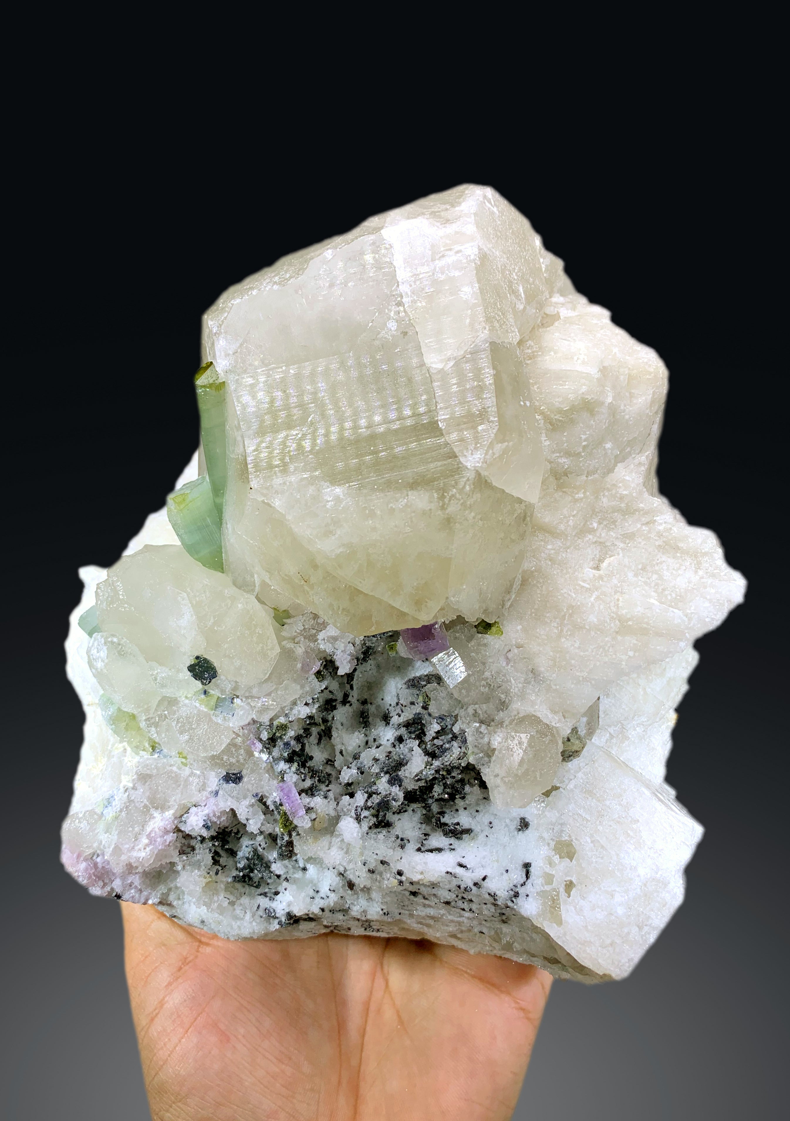 Bicolor Tourmalines with Purple Apatite on Quartz from Afghanistan - 2533 grams