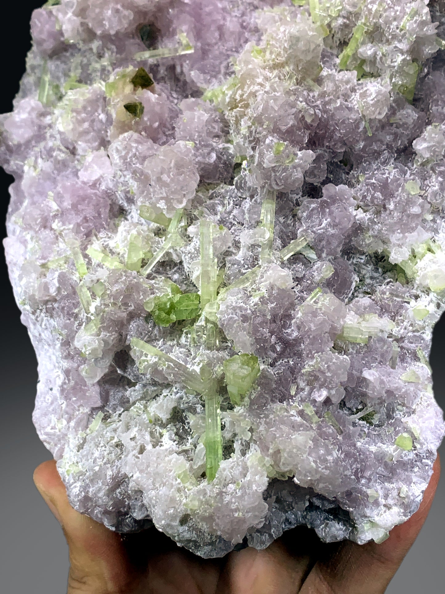 Green Tourmaline Cluster with Rare Microlite on Lepidolite from Afghanistan - 1788 grams