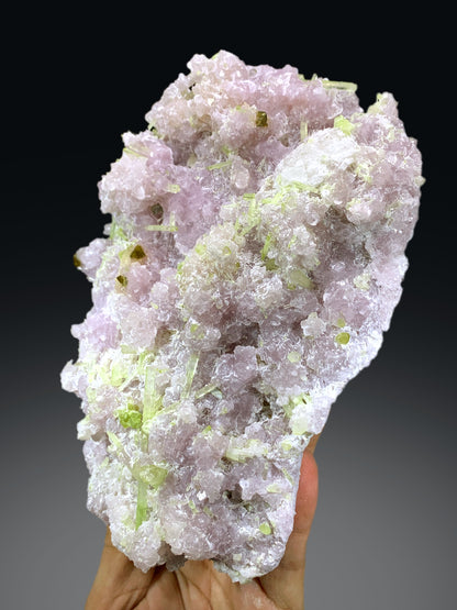 Green Tourmaline Cluster with Rare Microlite on Lepidolite from Afghanistan - 1788 grams
