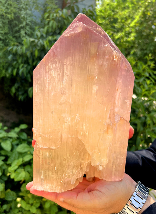 Museum Grade Peach Pink Kunzite Crystal from Afghanistan - 6.3 Kg