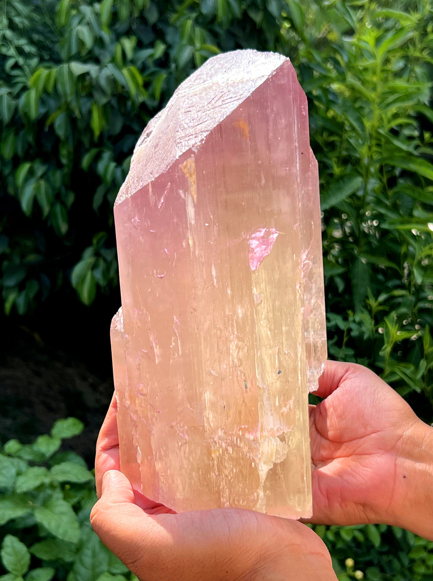Museum Grade Peach Pink Kunzite Crystal from Afghanistan - 6.3 Kg