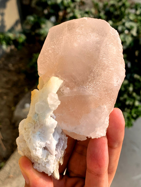 Peach Pink Morganite on Albite from Afghanistan - 234 gram