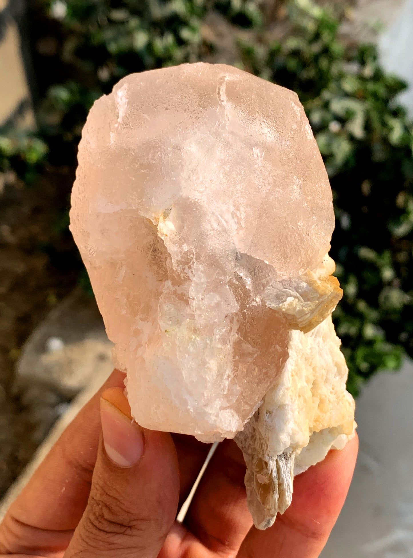 Peach Pink Morganite on Albite from Afghanistan - 234 gram