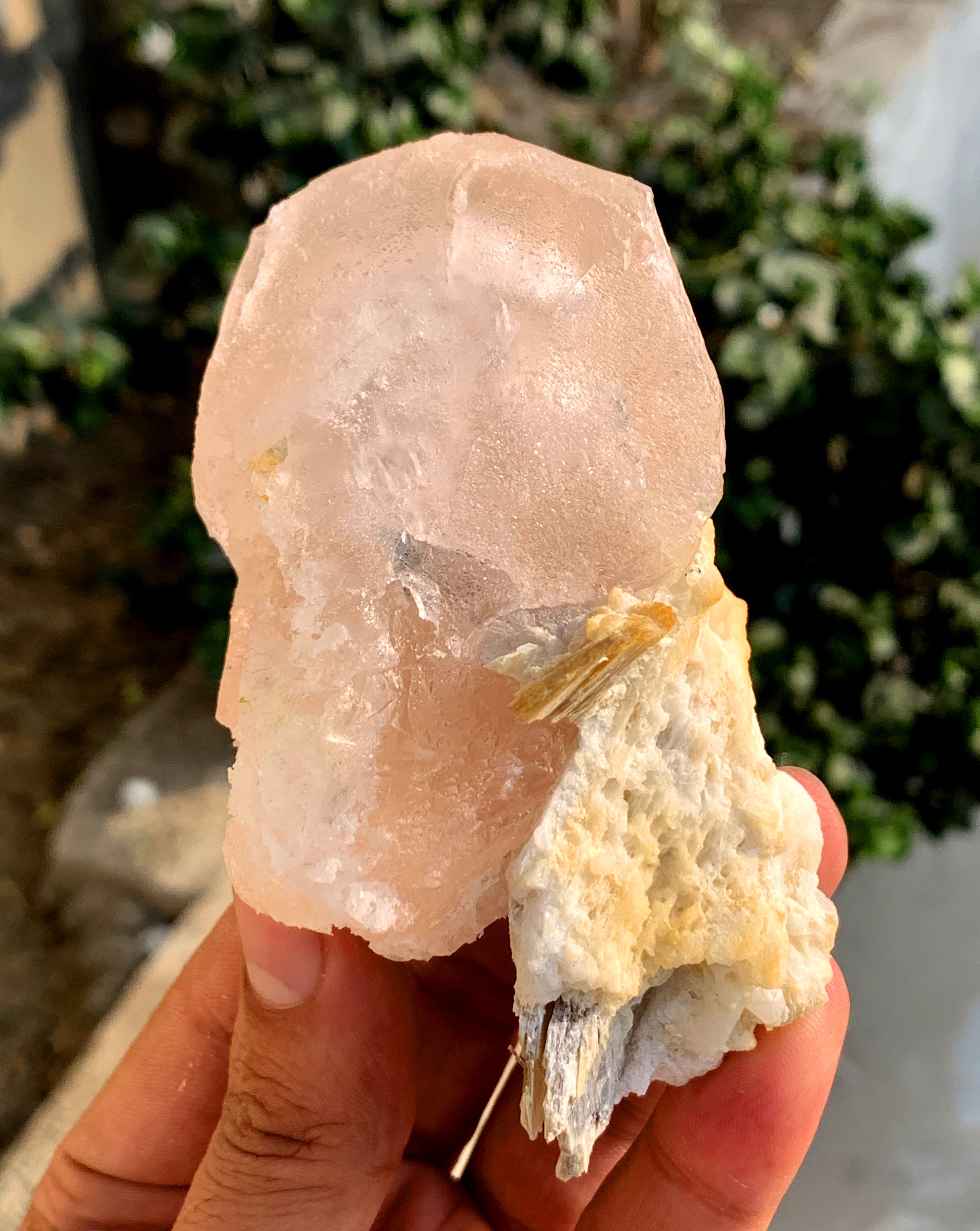 Peach Pink Morganite on Albite from Afghanistan - 234 gram