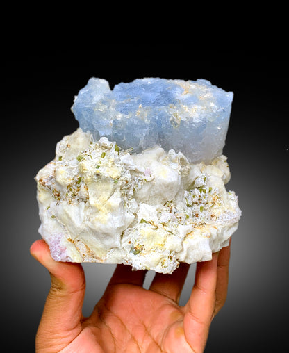 Natural Bicolor Beryl, AquaMorganite, Blue Aquamarine and Pink Morganite with Tourmalines, Tantalite on Matrix, Mineral Specimen - 1448 g