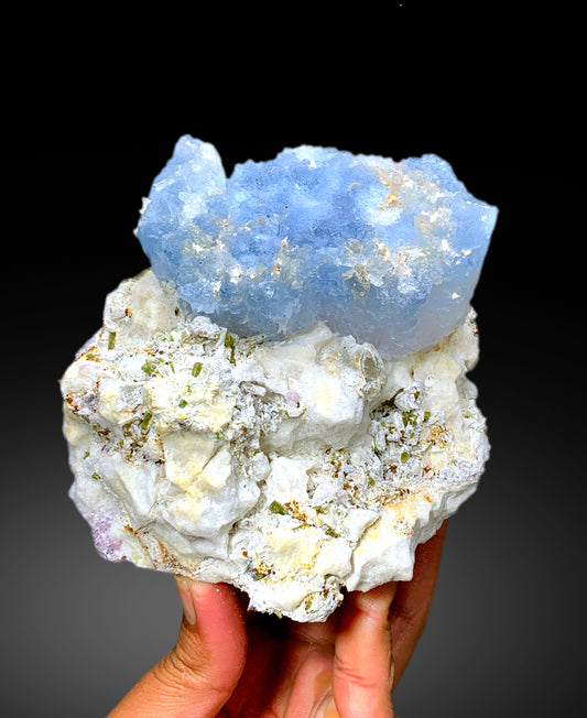 Natural Bicolor Beryl, AquaMorganite, Blue Aquamarine and Pink Morganite with Tourmalines, Tantalite on Matrix, Mineral Specimen - 1448 g