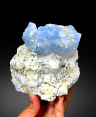 Natural Bicolor Beryl, AquaMorganite, Blue Aquamarine and Pink Morganite with Tourmalines, Tantalite on Matrix, Mineral Specimen - 1448 g