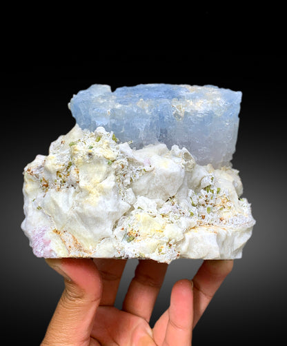 Natural Bicolor Beryl, AquaMorganite, Blue Aquamarine and Pink Morganite with Tourmalines, Tantalite on Matrix, Mineral Specimen - 1448 g