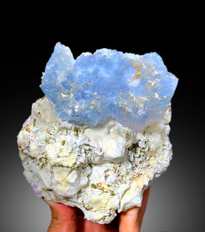 Natural Bicolor Beryl, AquaMorganite, Blue Aquamarine and Pink Morganite with Tourmalines, Tantalite on Matrix, Mineral Specimen - 1448 g
