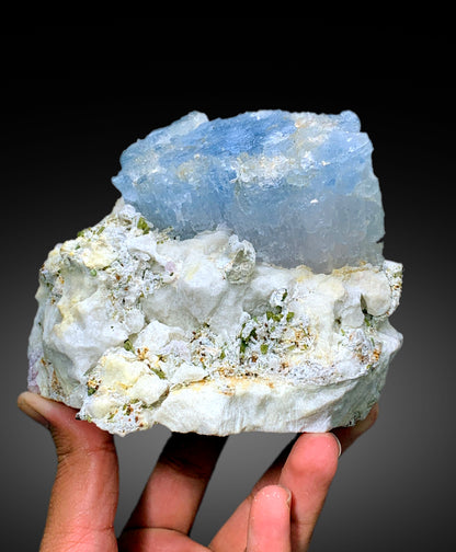 Natural Bicolor Beryl, AquaMorganite, Blue Aquamarine and Pink Morganite with Tourmalines, Tantalite on Matrix, Mineral Specimen - 1448 g
