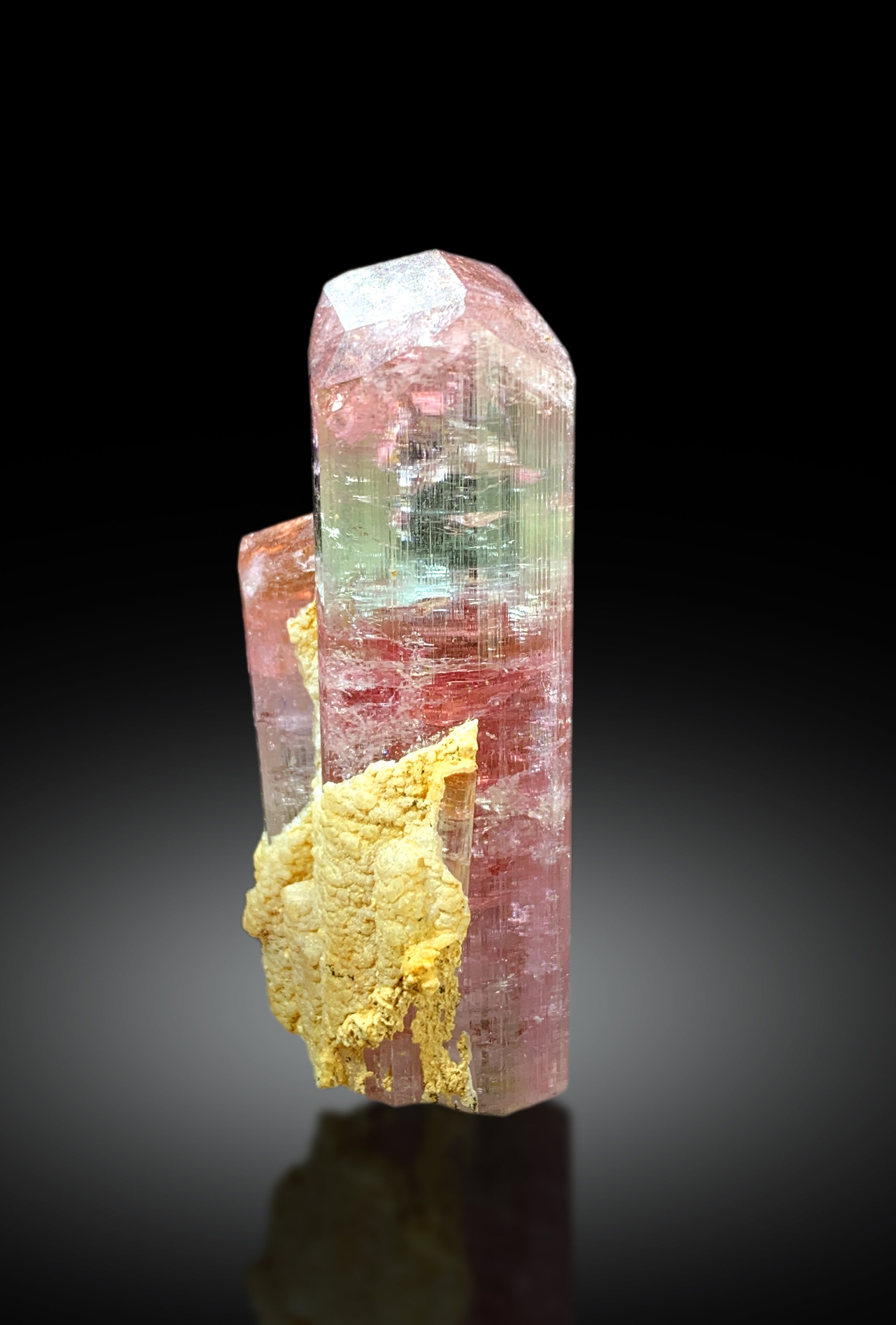 Stunning Twinned Bicolor Tourmaline Crystal from Paprok Afghanistan - 53 gram