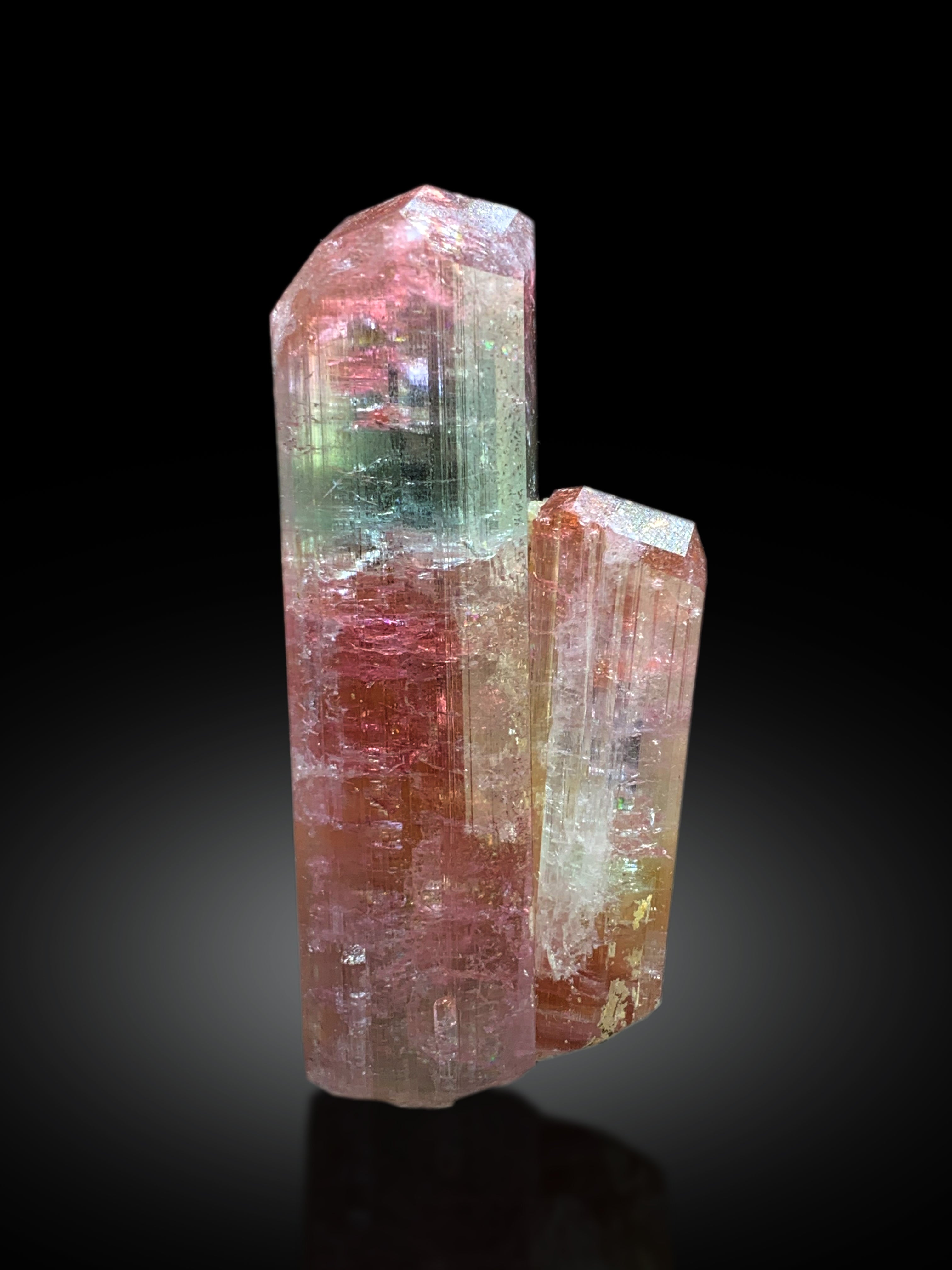 Stunning Twinned Bicolor Tourmaline Crystal from Paprok Afghanistan - 53 gram