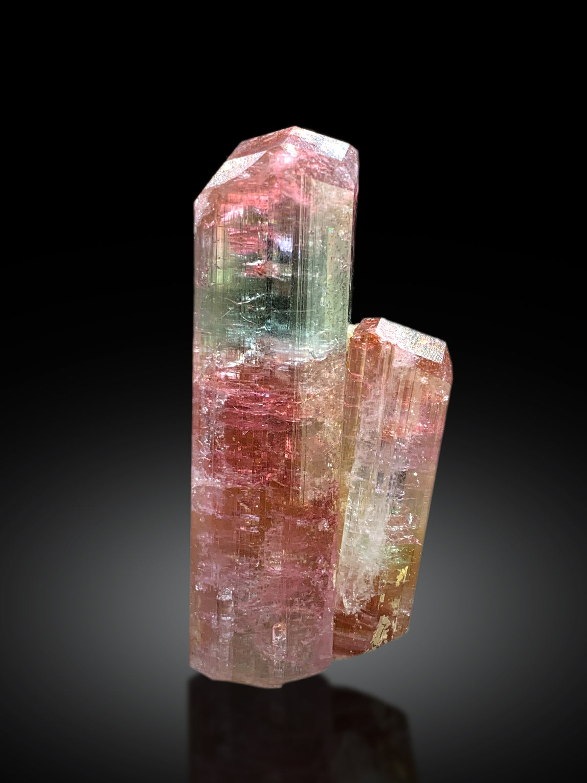 Stunning Twinned Bicolor Tourmaline Crystal from Paprok Afghanistan - 53 gram