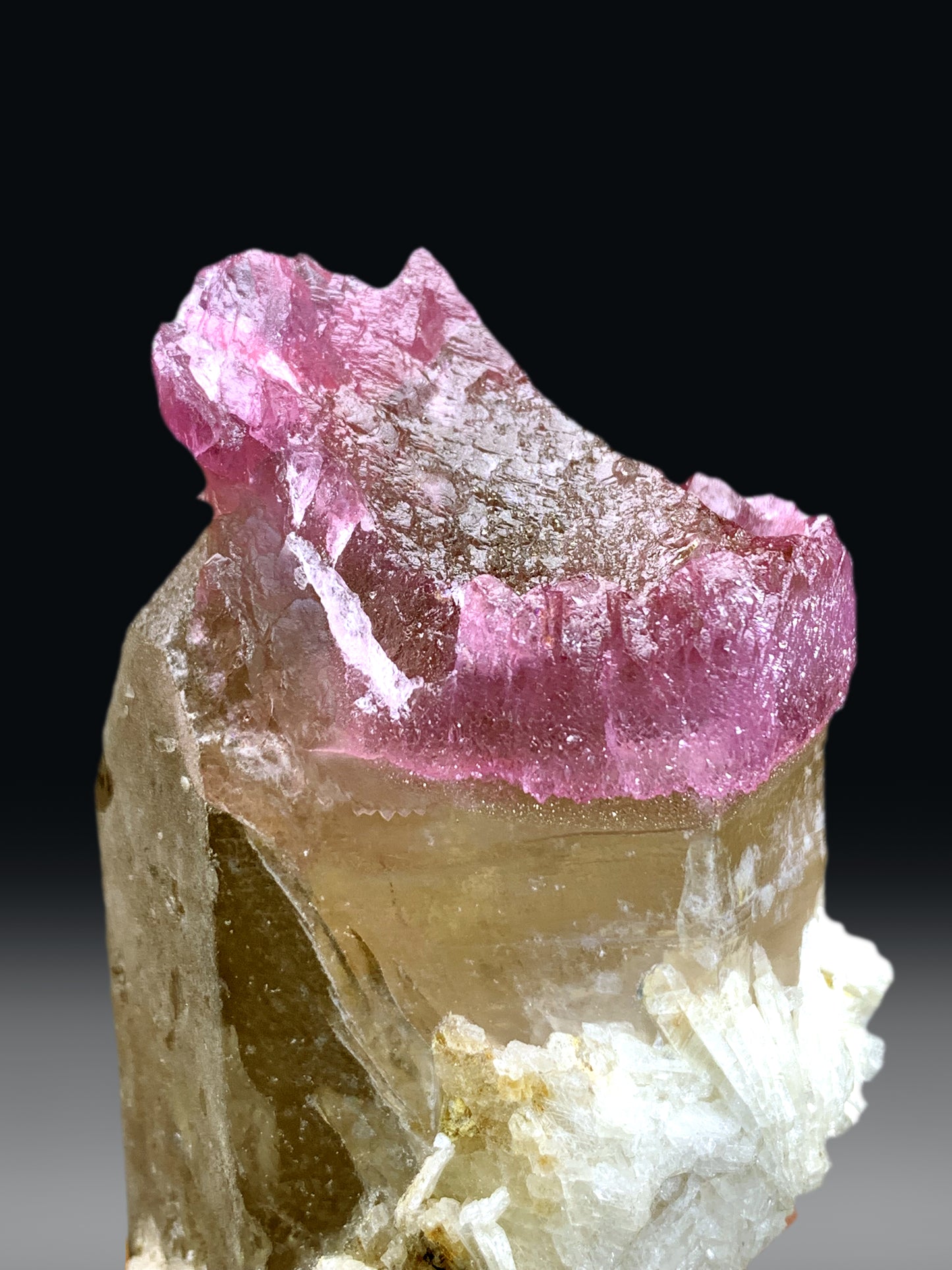 Crystallized Pink Rose Quartz Strip on Elestial Smoky Quartz from Paprok Afghanistan - 220 grams