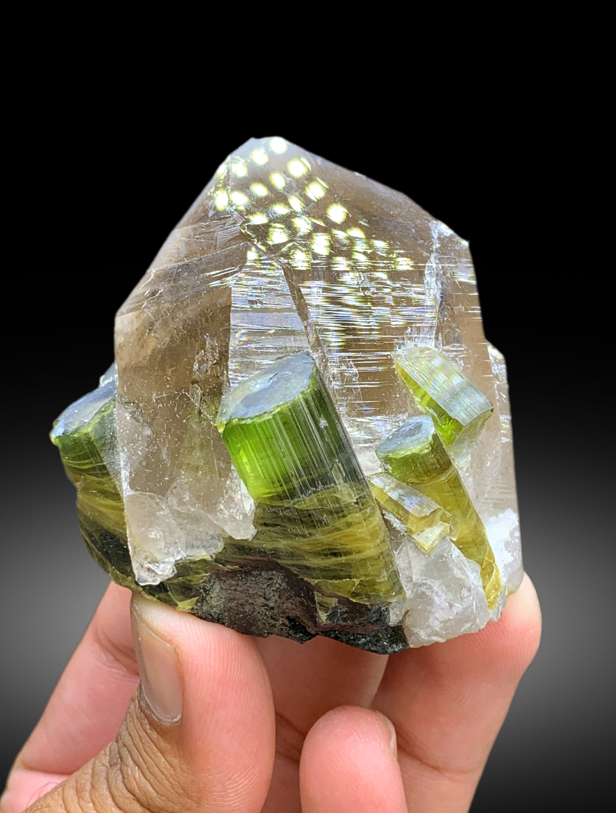 Natural Bicolor Tourmaline Crystals on Smoky Quartz from Paprok Afghanistan - 189 gram