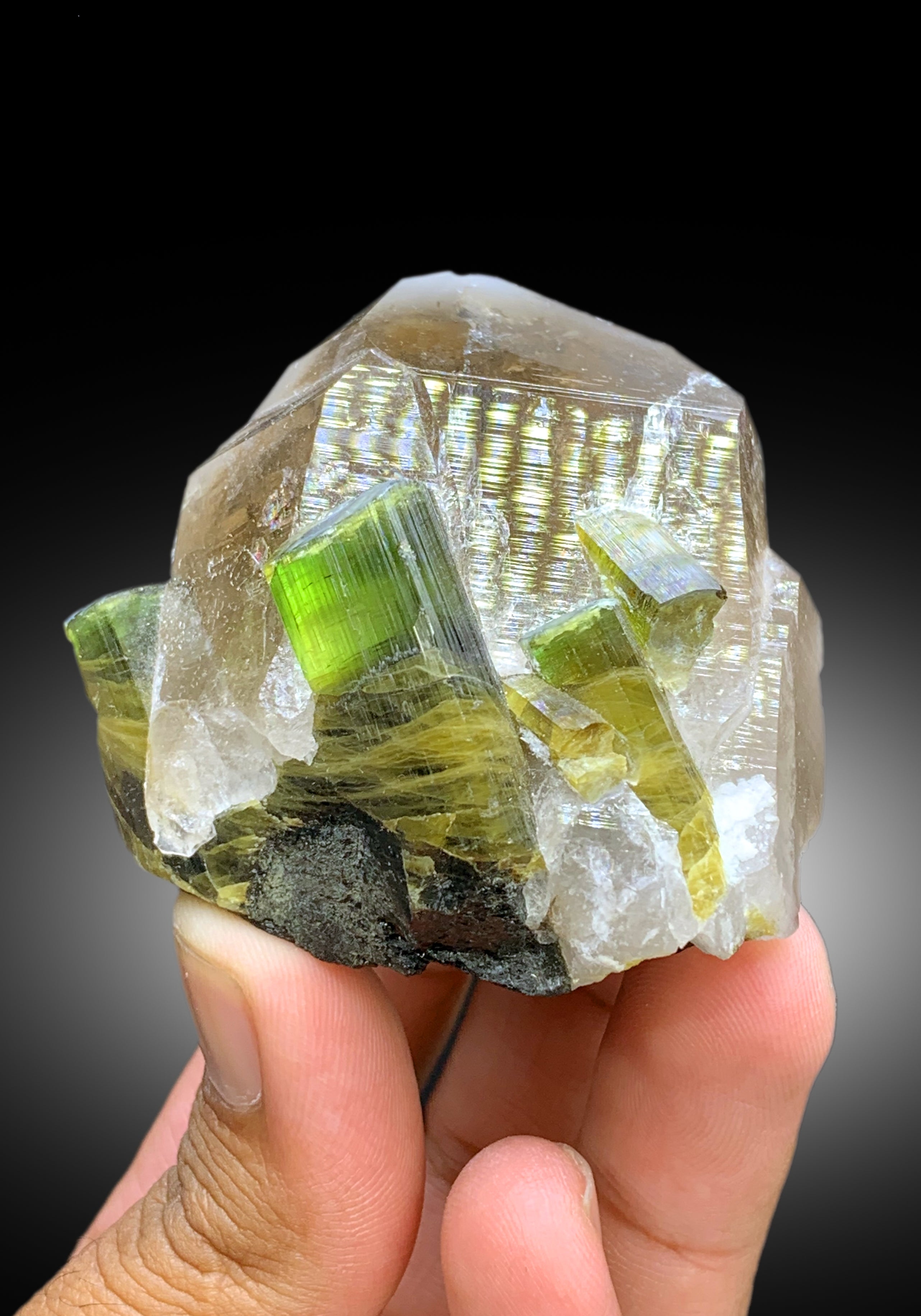 Natural Bicolor Tourmaline Crystals on Smoky Quartz from Paprok Afghanistan - 189 gram