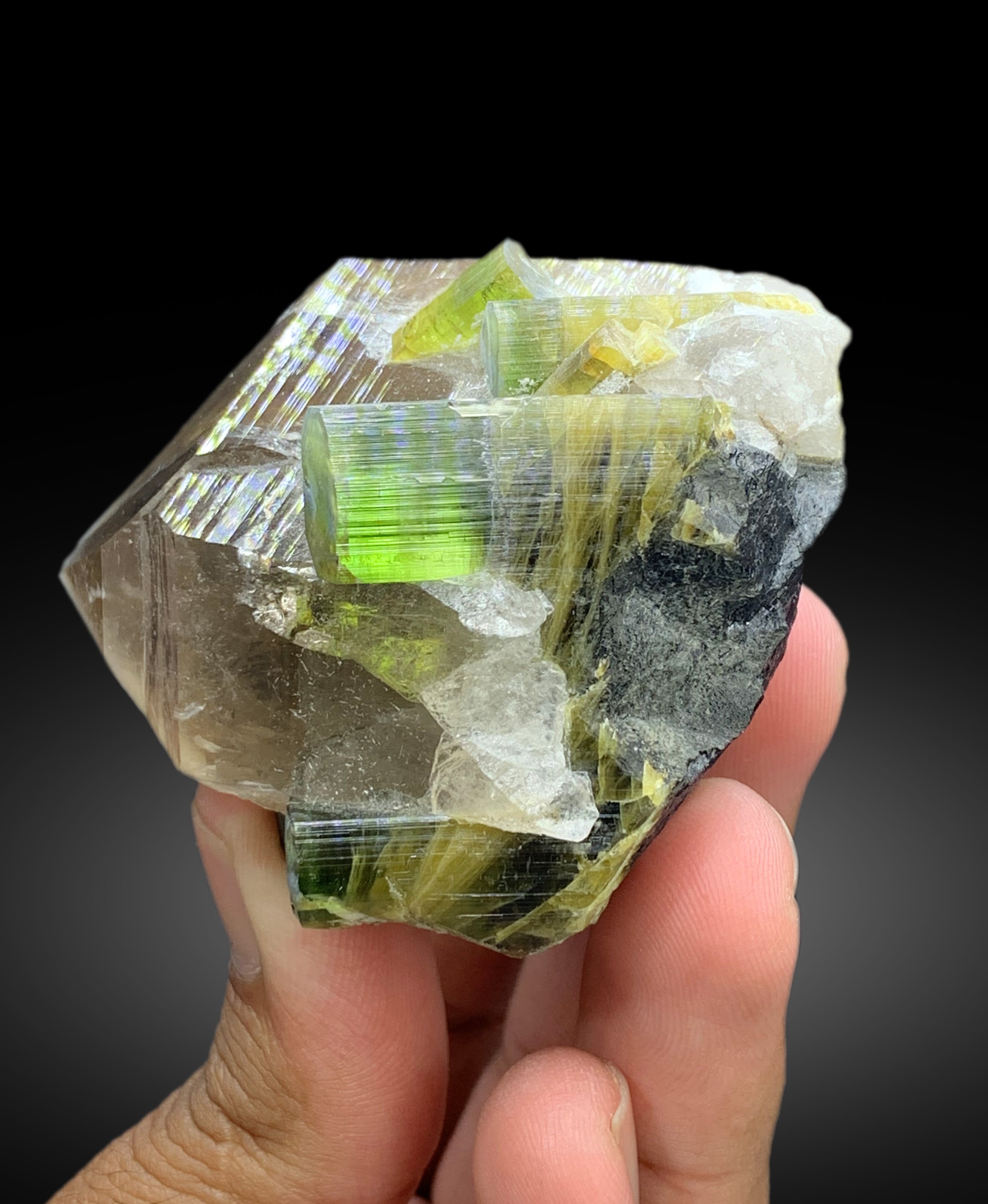 Natural Bicolor Tourmaline Crystals on Smoky Quartz from Paprok Afghanistan - 189 gram